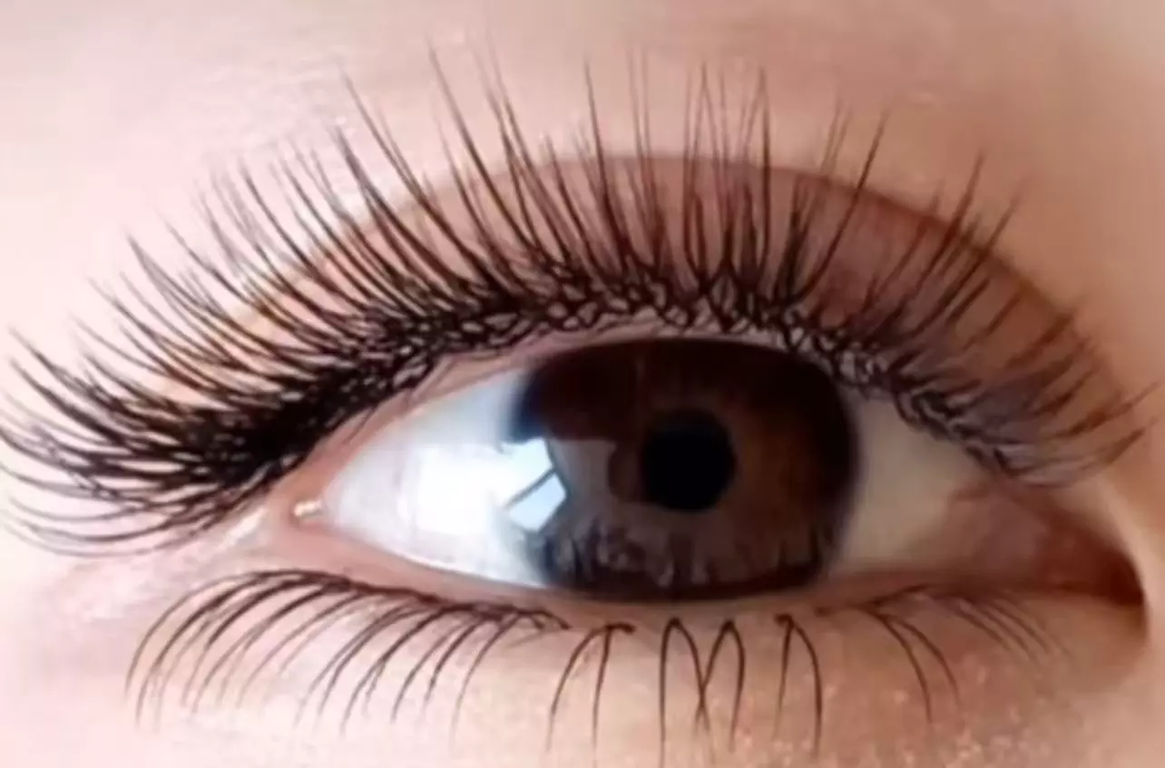 Up to 64% Off on Eyelash Extensions at Lash bar