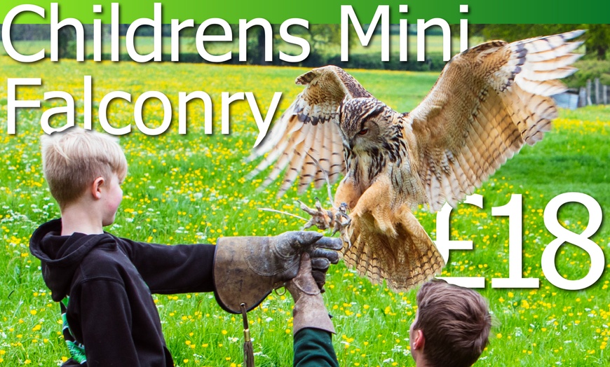 Image 1: Children's Mini Bird of Prey Session for 2 Adults or 1 or 2 Children