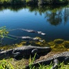 Image 10: Up to $maximum_of_discount_percentage Off – Guided Miami City Tour
