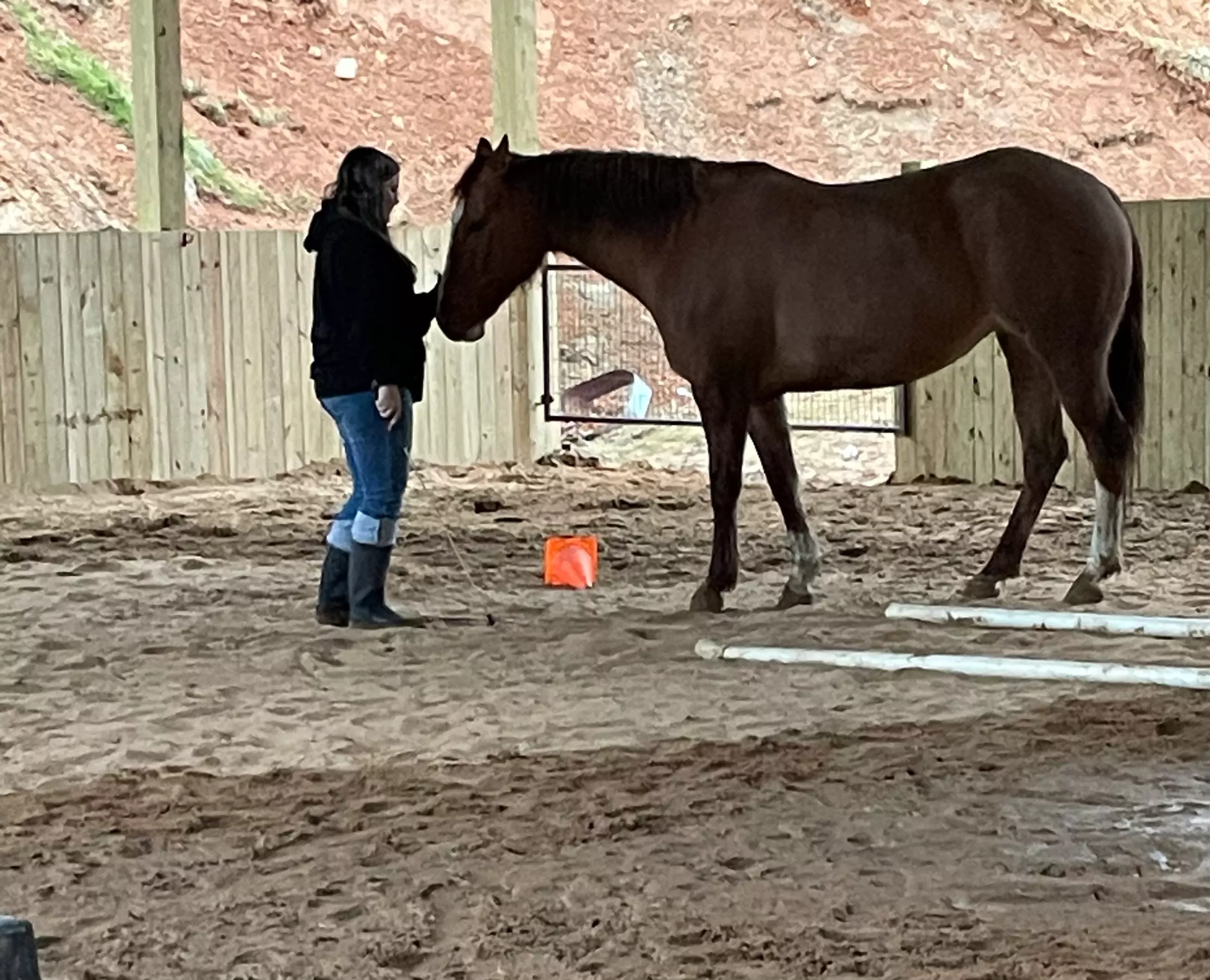 Six-Week Group Horsemanship Lessons - Marshall, NC