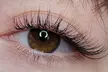 Up to 50% Off on Full Set with Refill Discount (Classic, Wet, Hybrid, or Volume) at RAD Beauty - Second Medium