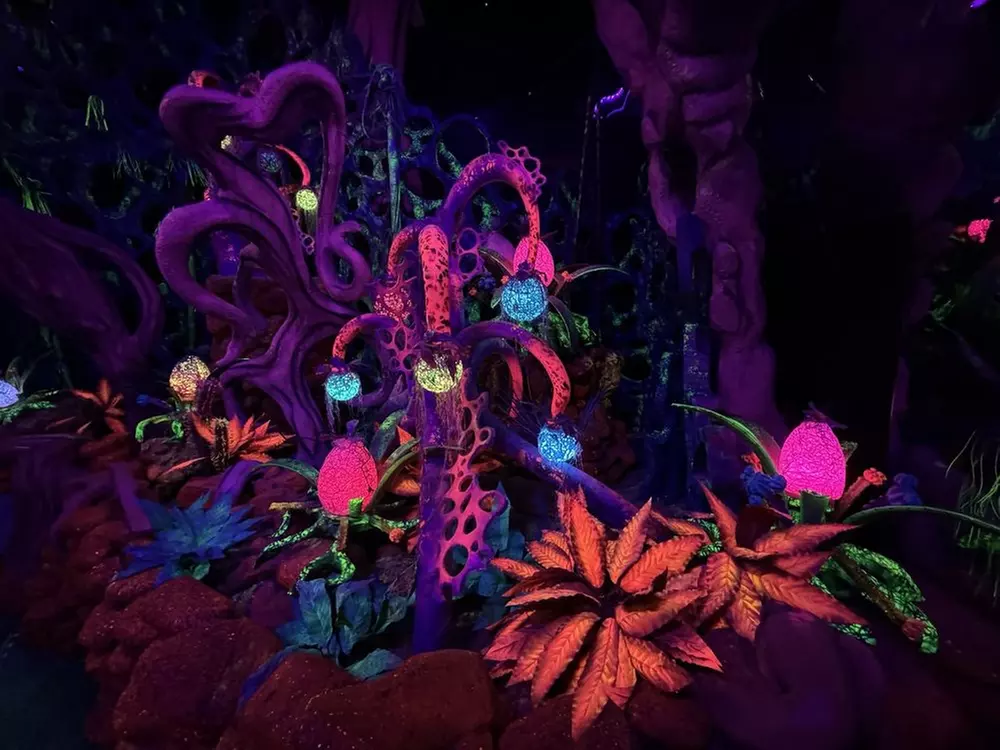 Up to 30% Off Seismique’s Immersive Art Experience in Houston