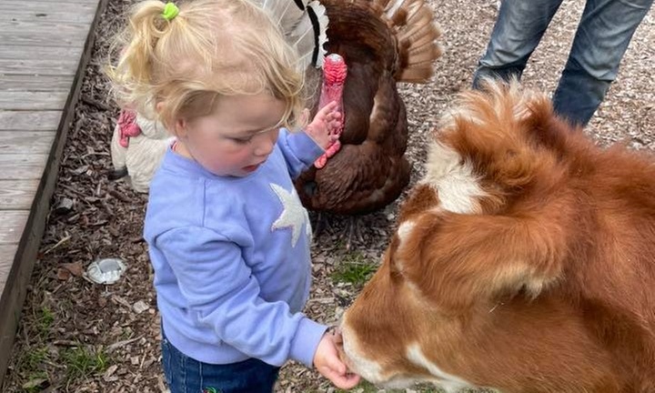 Visit Rooterville Animal Sanctuary: Admission for 1, 2, or 4 People