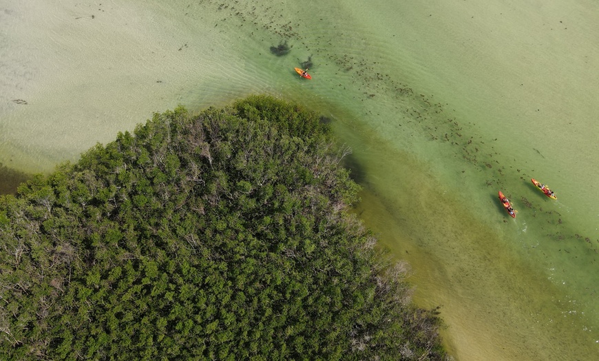 Image 7: Up to 37% Off on Kayak Rental at Murphs Surf - Kayak Rentals - Siesta Key