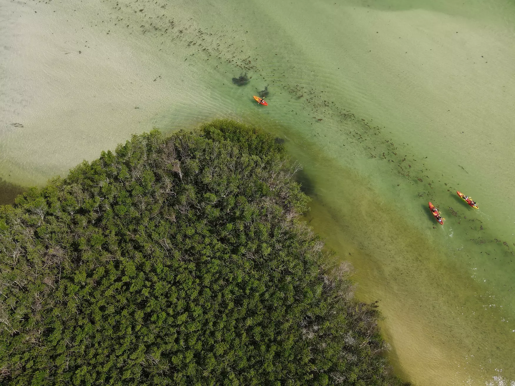 Up to 28% Off on Kayak Rental at Murphs Surf - Kayak Rentals - Siesta Key