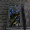 Image 4: Shine Bright with Exterior Window Cleaning for 10 Windows! 