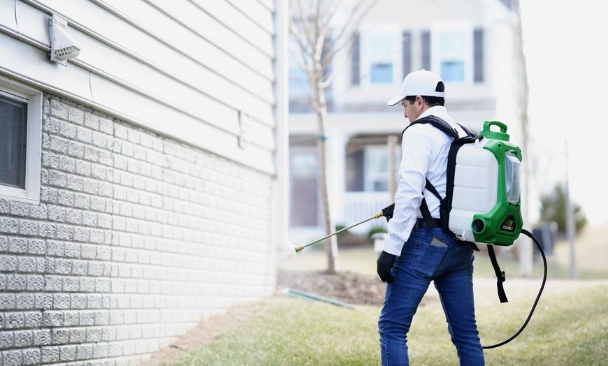Image 1: Thorough Bed Bug Inspections for Residential Homes Up To 5,500 sqft 