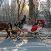 Image 5: Central Park Horse Carriage Tour – NYC
