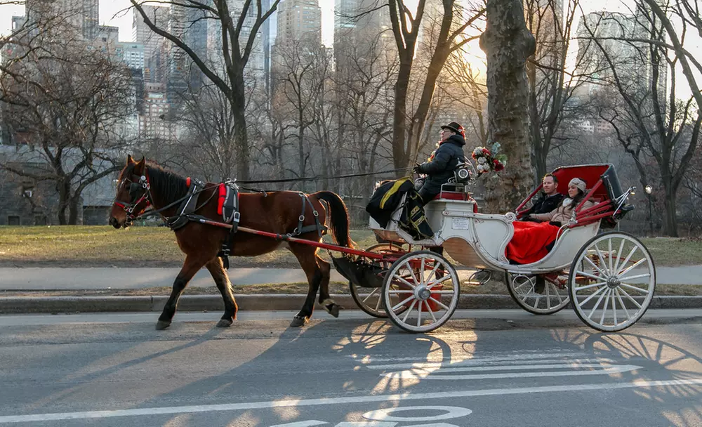 Discover NYC Fancy Rides' enchanting 45-minute Central Park horse carriage tour, offering up to 24% off for a nostalgic journey.