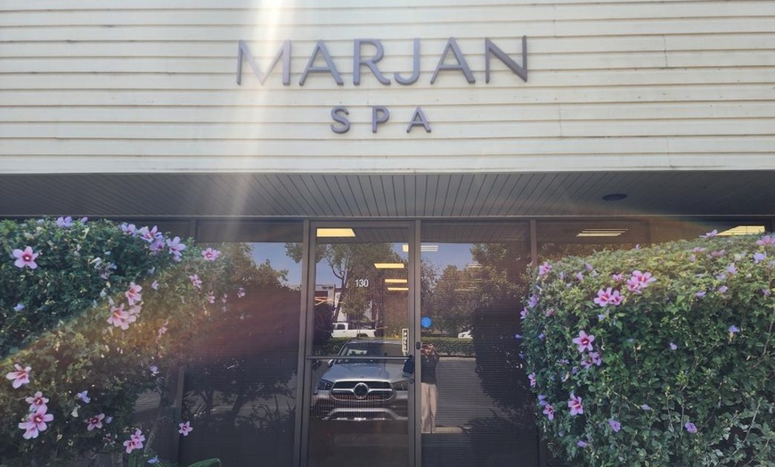 Image 4: Up to 56% Off on Vampire PRP Facelift at Marjan Spa