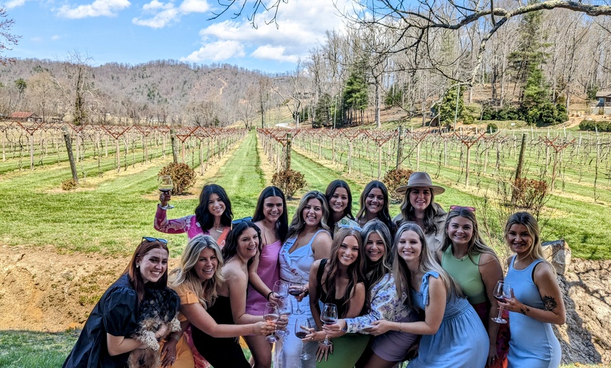 Image 8: Up to 20% Off on Wine / Vineyard Tour at NC Wine Gals
