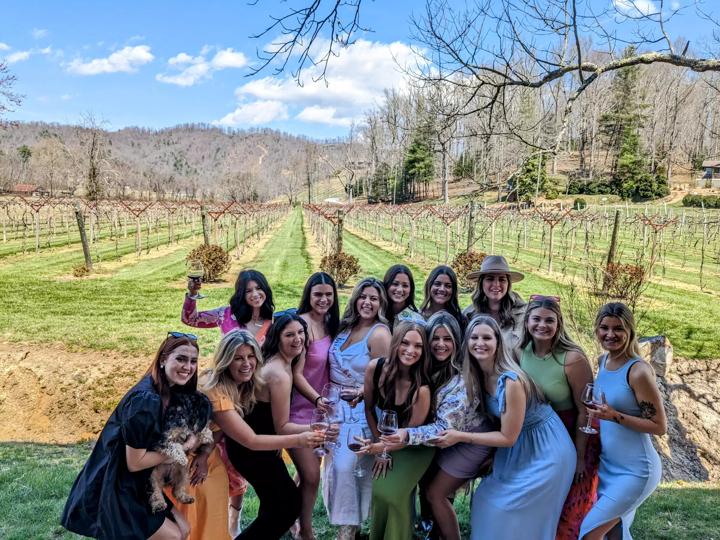 Sip and Savour: Vineyard Wine Tour