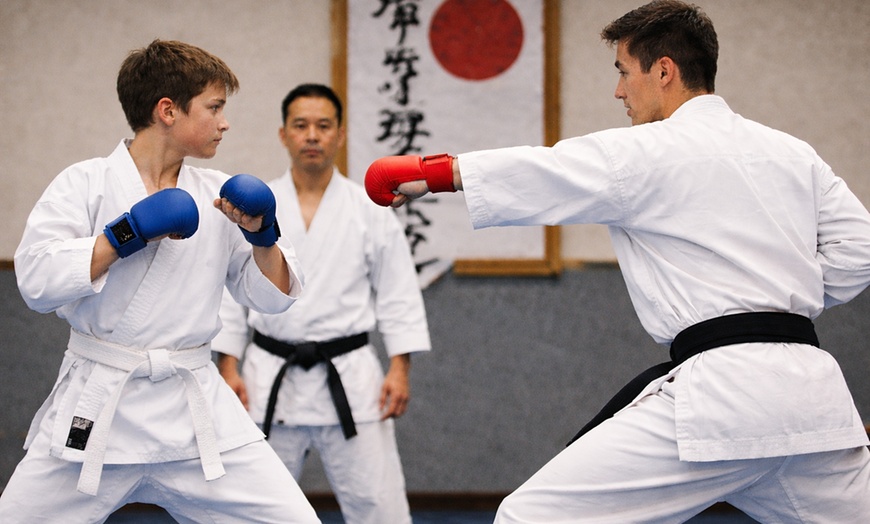 Image 2: Karate Classes for Kids & Adults - Seikou Karate USA