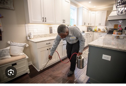 Exterior Pest Prevention Treatment - Unitech services