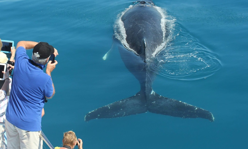 Image 2: Up to 30% Off on Ferry (Transportation) at Freedom Ecotours Pty Ltd