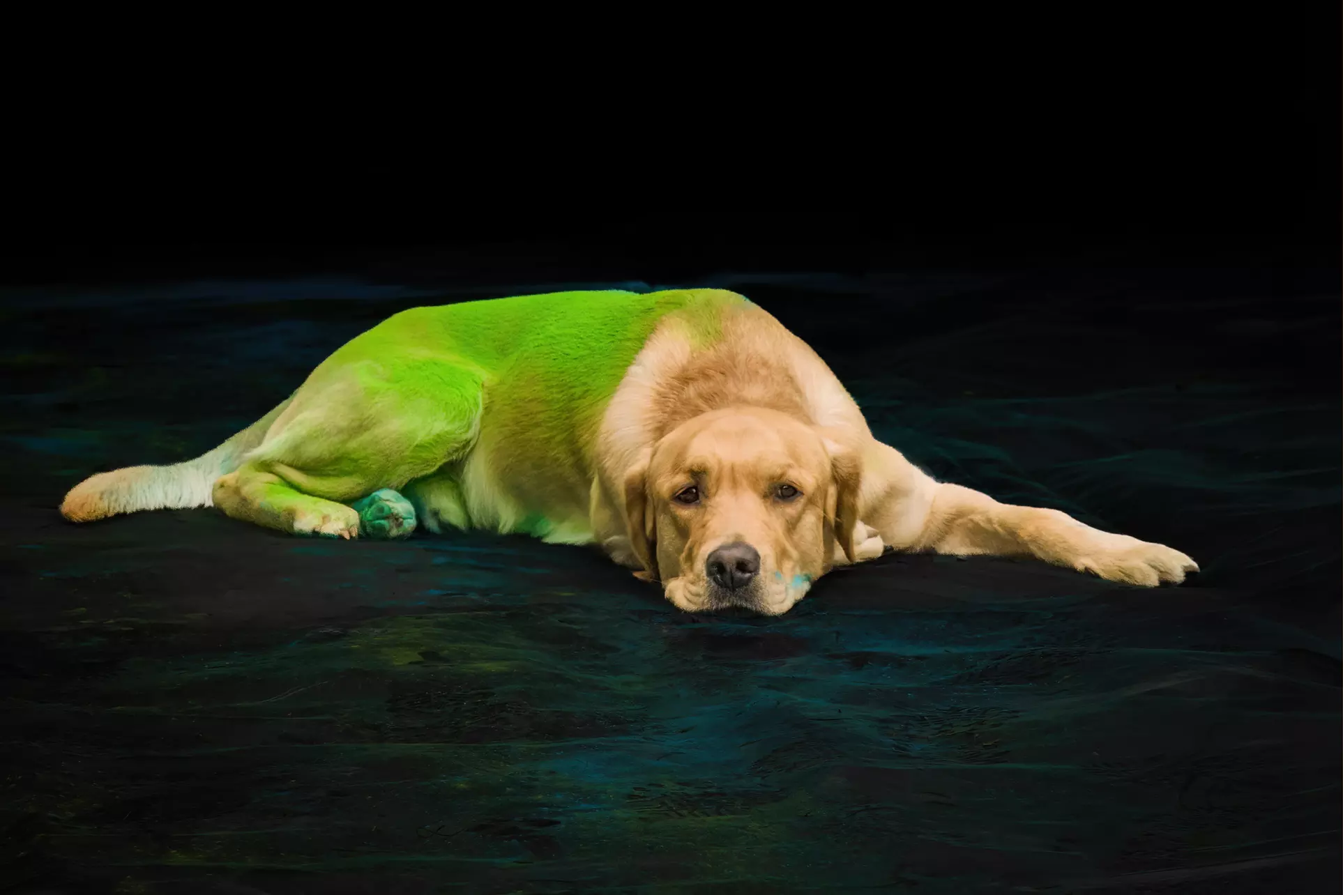 30 Min. Holi-Fotoshooting inkl. 3 - 5 Bilder