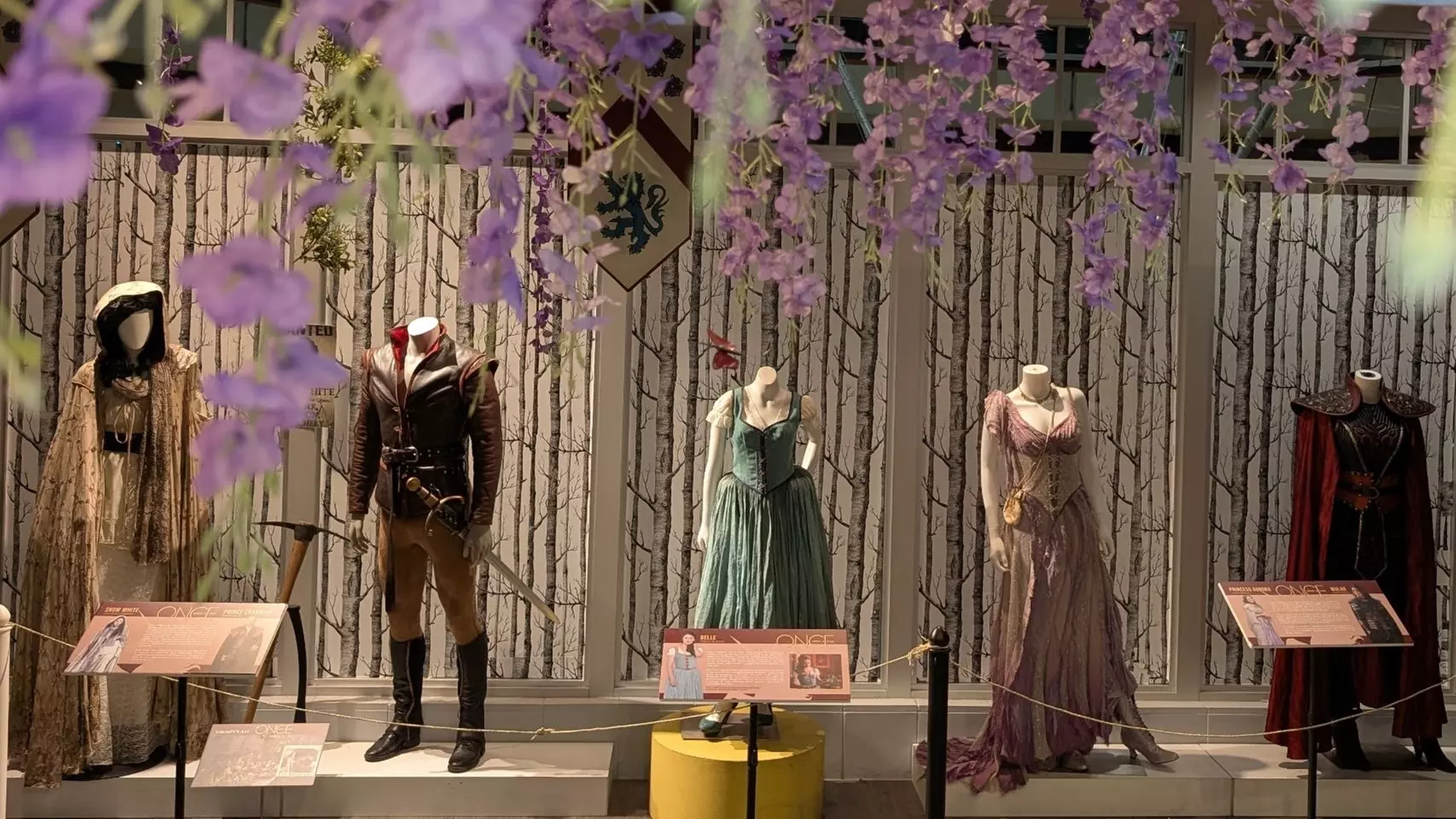 Discover the Magic at Enchanted Fantasy Film Museum Admission