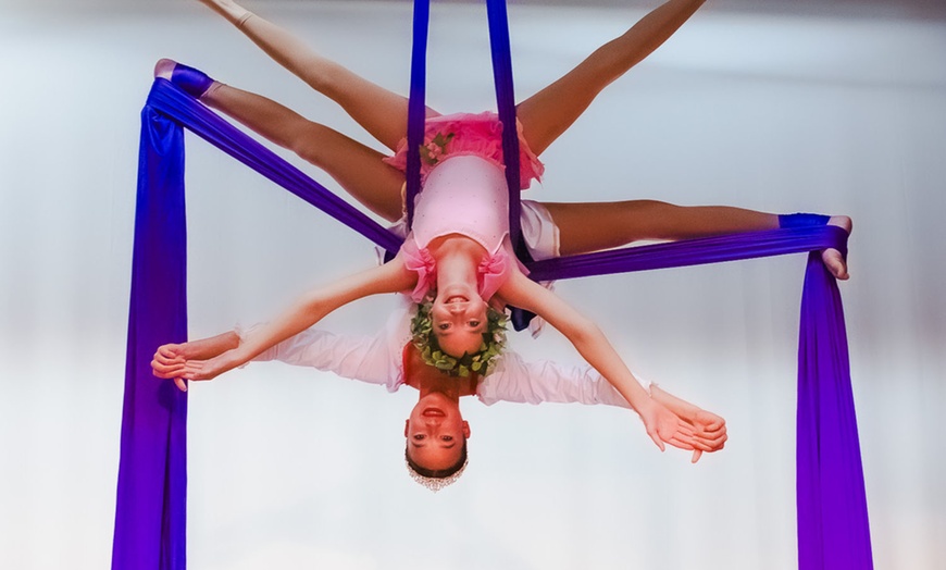 Image 6: Kids' Aerial Silks Fitness Classes - Aspire Aerial Dance and Movement