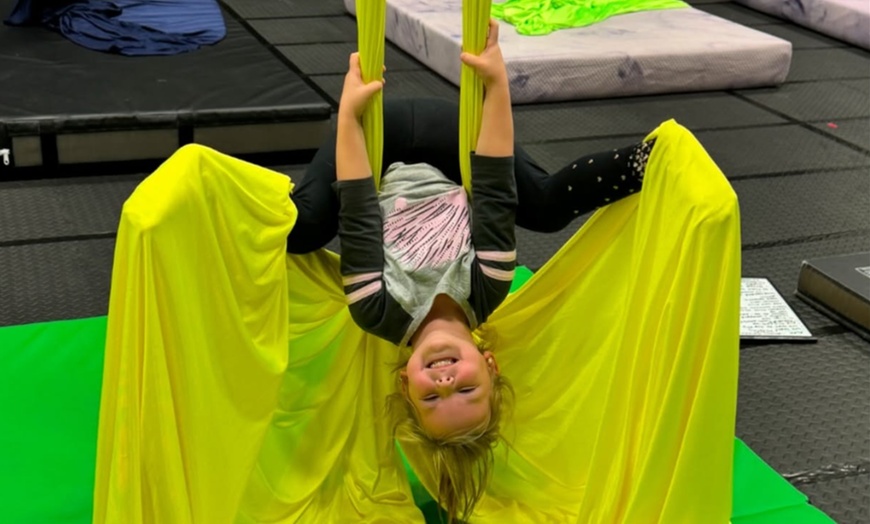 Image 7: Experience The Thrill Of Aerial Or Bungee Fitness