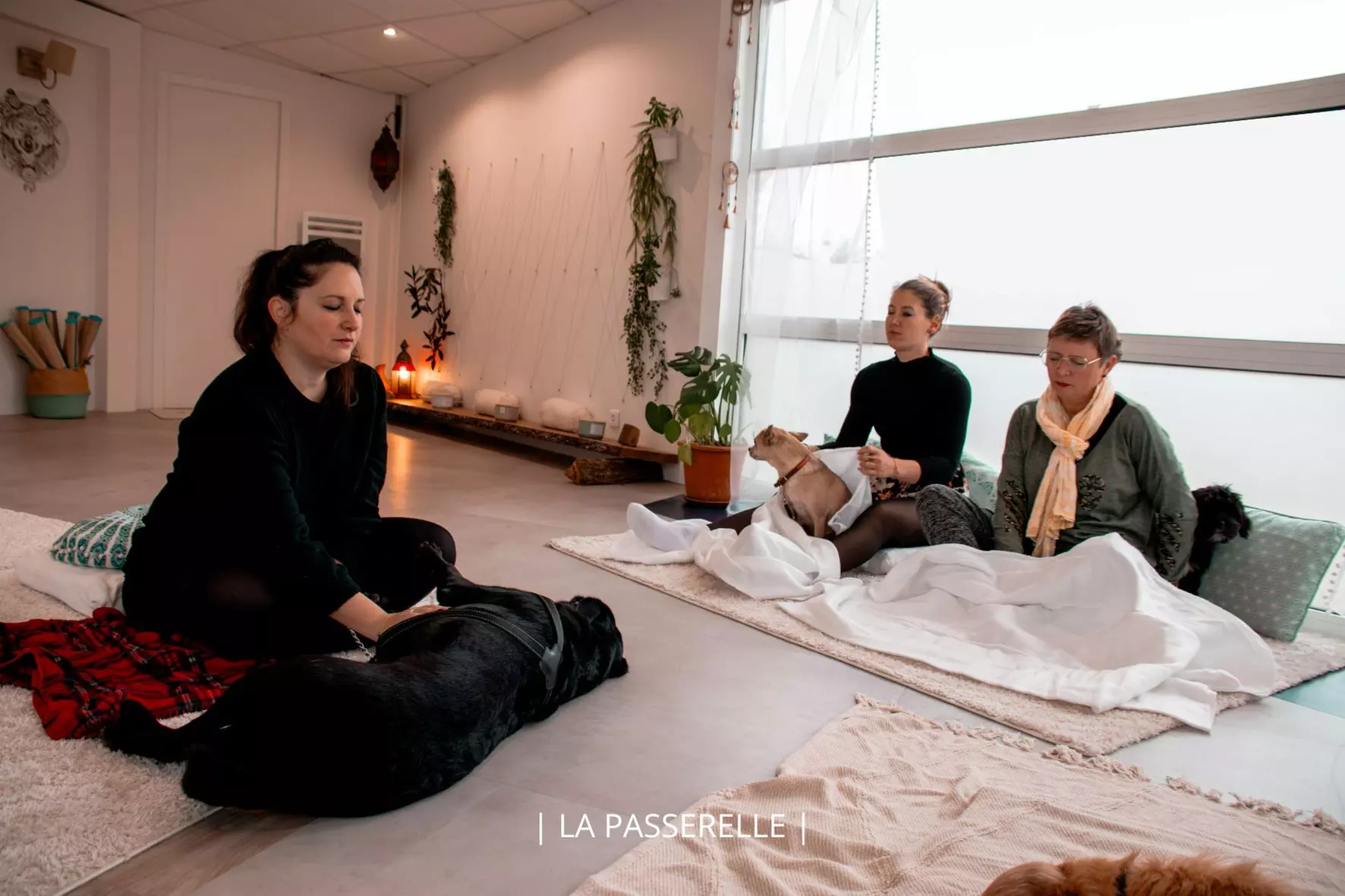 Soin Reiki animal ou communication animale avec La Passerelle