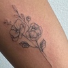 Image 2: Small or Medium Tattoo Services with Consultation
