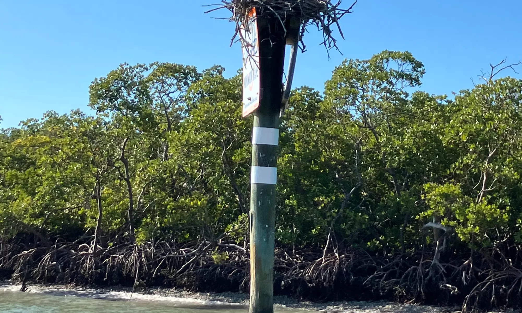 Eco & Sunset Boat Tours – Naples & Marco Island