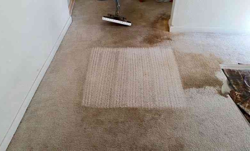 Image 1: Carpet Cleaning for Three or Five Rooms  