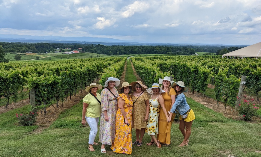 Image 11: Up to 20% Off on Wine / Vineyard Tour at NC Wine Gals