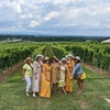 Image 11: Up to 20% Off on Wine / Vineyard Tour at NC Wine Gals