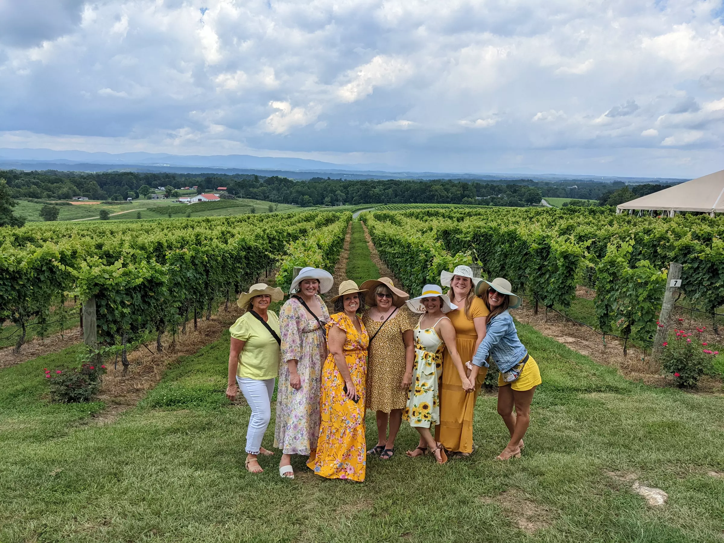 Sip and Savour: Vineyard Wine Tour