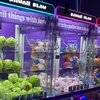 Image 5: Largest Claw Machine in America - Arcade Credits for Kawaii Klaws, CA