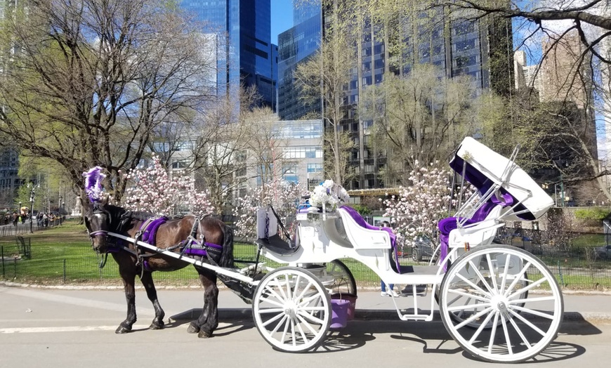 Image 5: Discover NYC Fancy Rides' enchanting 45-minute Central Park horse carriage tour, offering up to 24% off for a nostalgic journey.