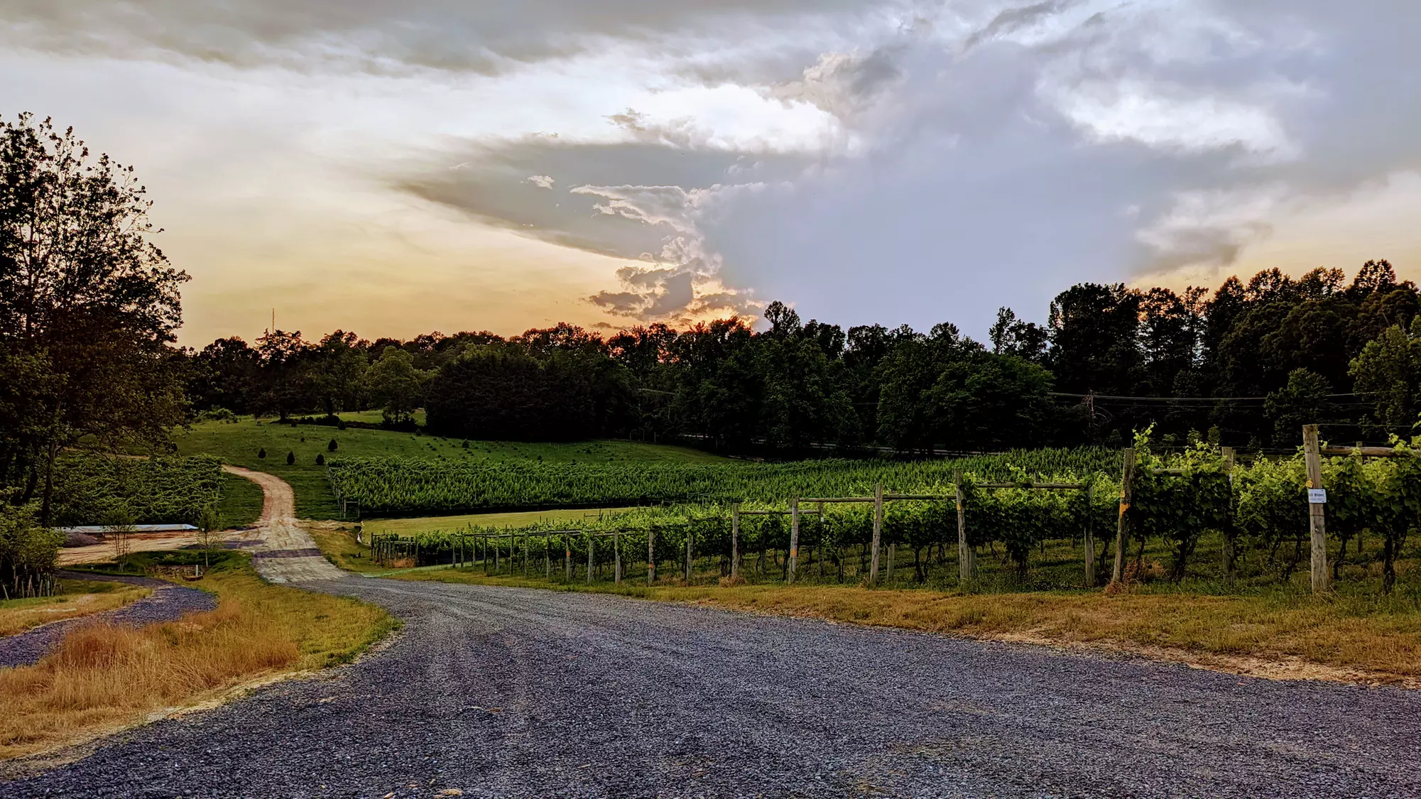 Guided Tour of Vineyards and Winery Adventure Awaits