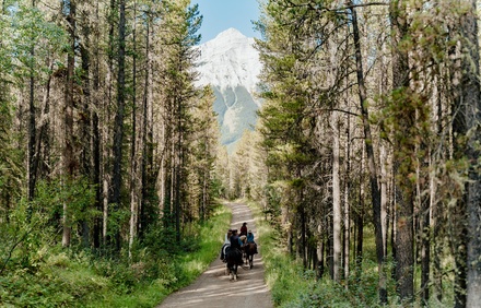 60-Minute Buffalo Loop Trail Ride (Mon-Fri) - For 1 | Valid September 1 to October 4 | Blackout dates apply - Boundary Ranch