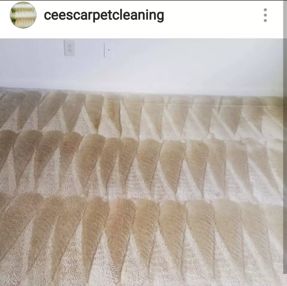 Up to 60% Off on Carpet Cleaning at Cee's Cleaning Group