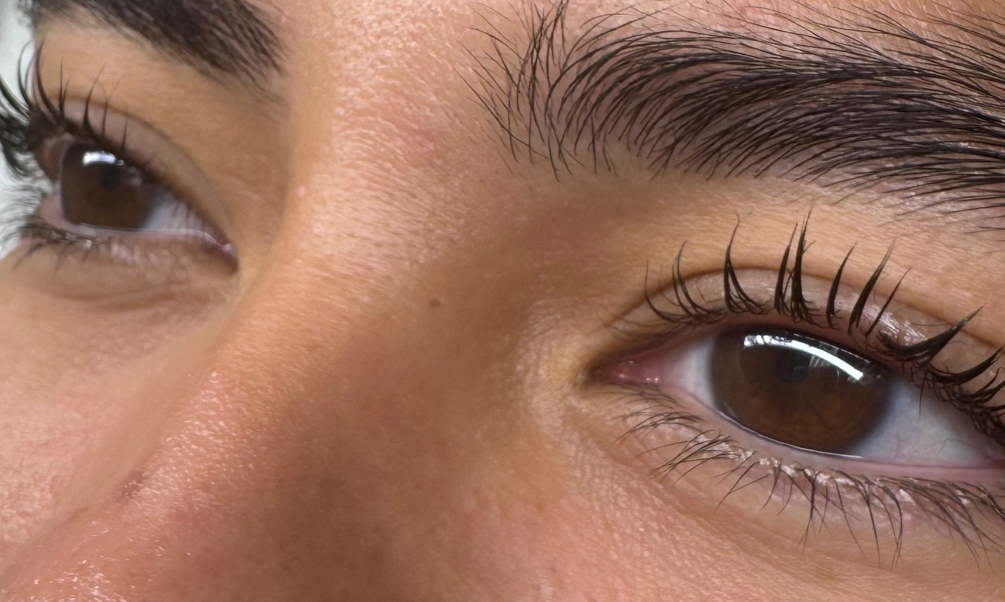 Effortless Elegance With Lash Lift and Tint 