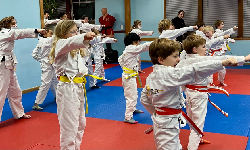 Image 6: Martial Arts Training at Villari's Martial Arts Centers Somerville