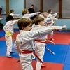 Image 6: Martial Arts Training at Villari's Martial Arts Centers Somerville