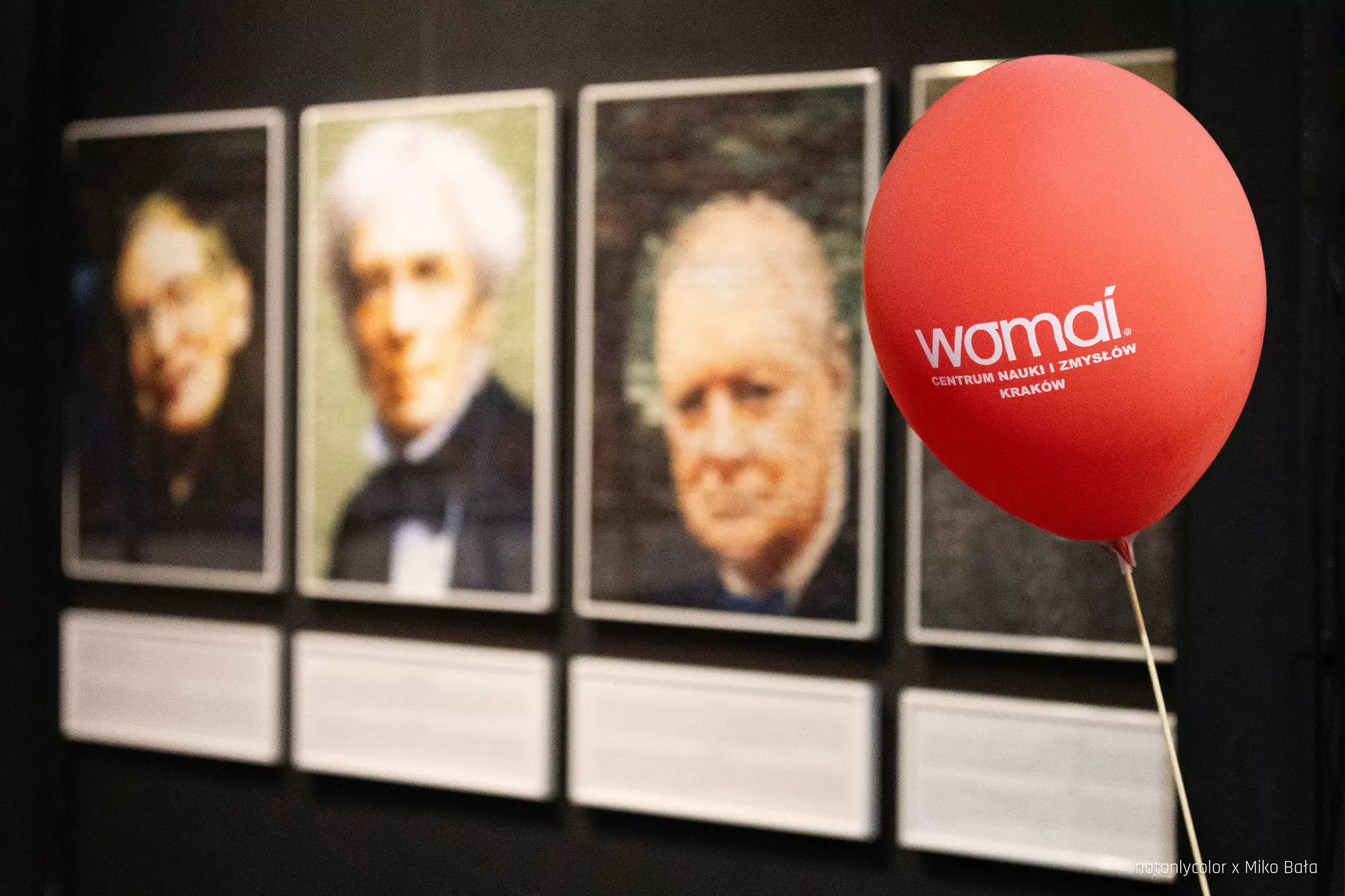 2 bilety wstępu do strefy „W stronę światła”