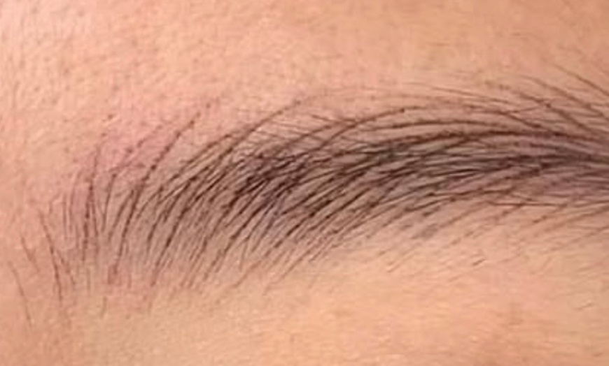 Image 2: Brow Restoration & Volume Fill Enhancement Session