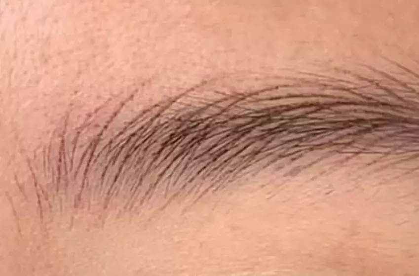 Brow Restoration & Volume Fill Enhancement Session