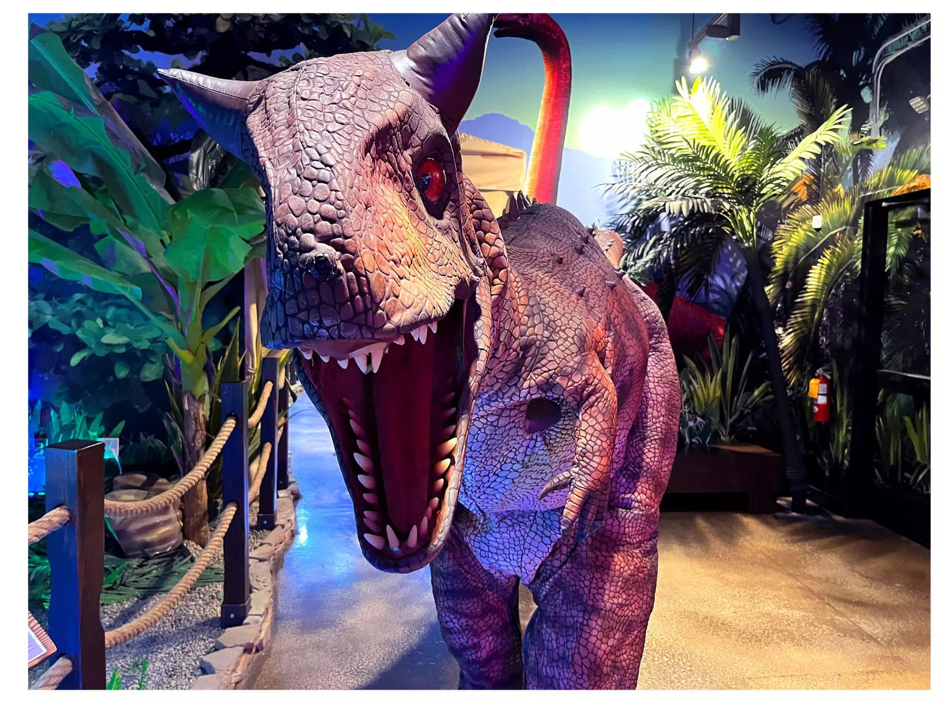 Interactive Premier Dinosaur Exhibit - Pangaea Land of the Dinosaurs
