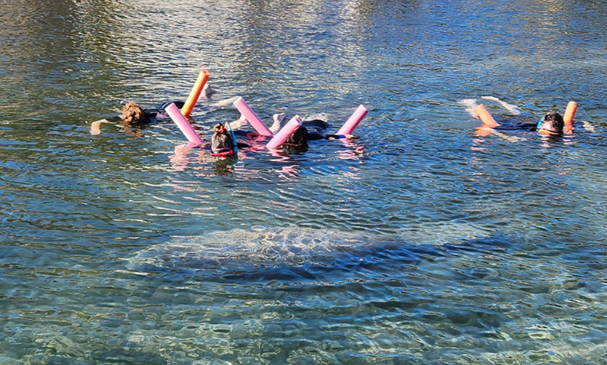 Image 4: Up to 29% Off Guided 3-Hour Tour in Crystal River, FL