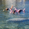 Image 4: Up to 29% Off Guided 3-Hour Tour in Crystal River, FL
