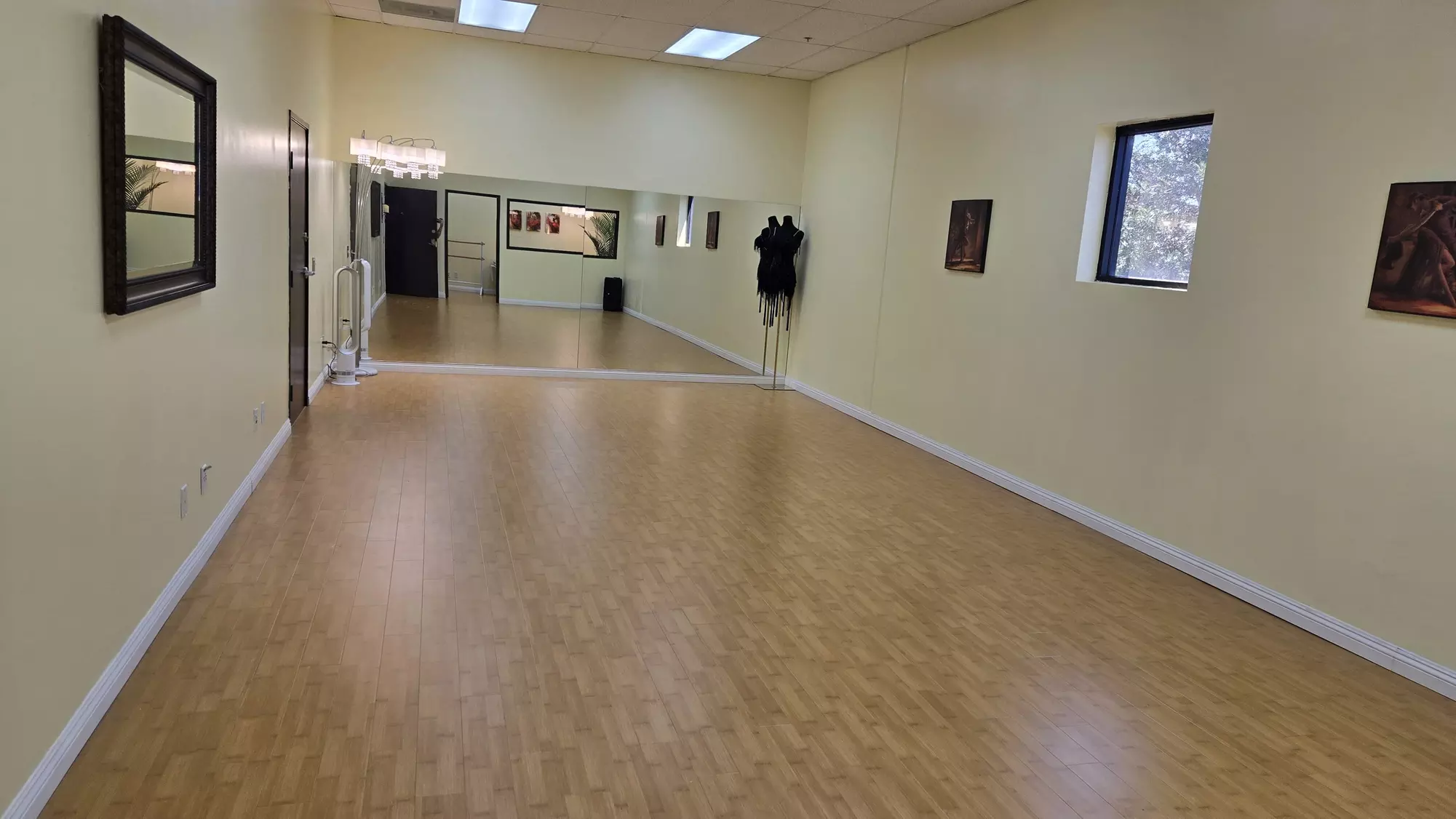 Learn Ballroom and Latin Styles in One Private Session
