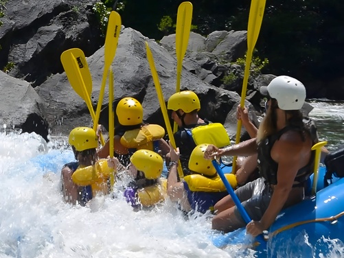 What to expect media