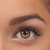 Image 2: Eyebrow Waxing and Tinting or Brow and Lip Wax