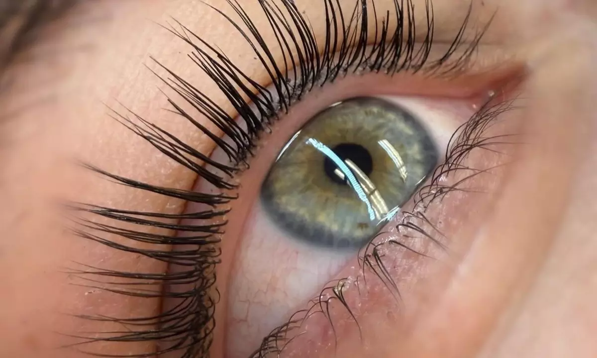 Enhance Your Look with Lash Lift, Tint or Brow Lamination