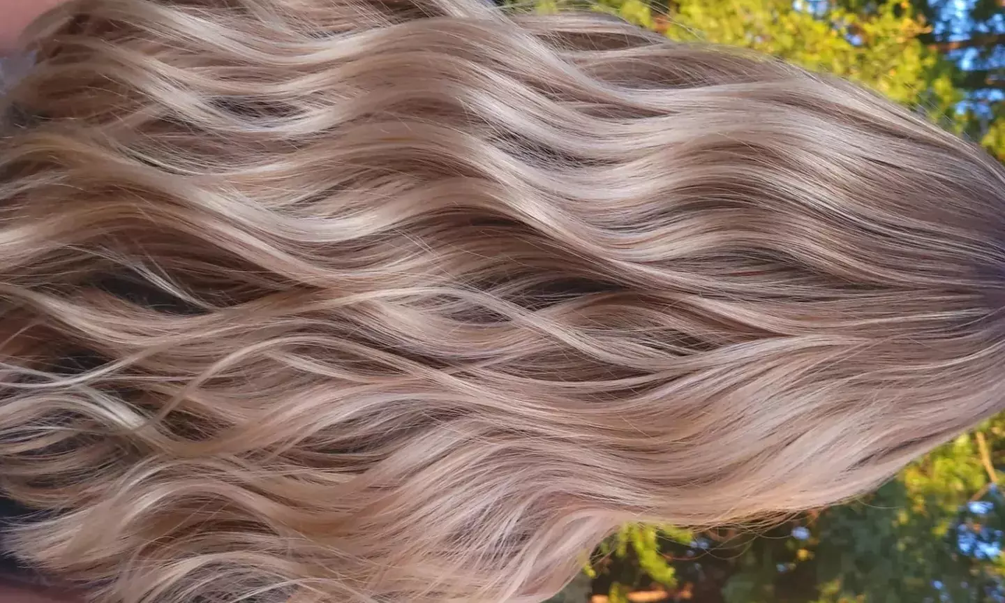 Up to 39% Off on Salon - Hair Color / Highlights at tHAIRapy by Danielle Peele