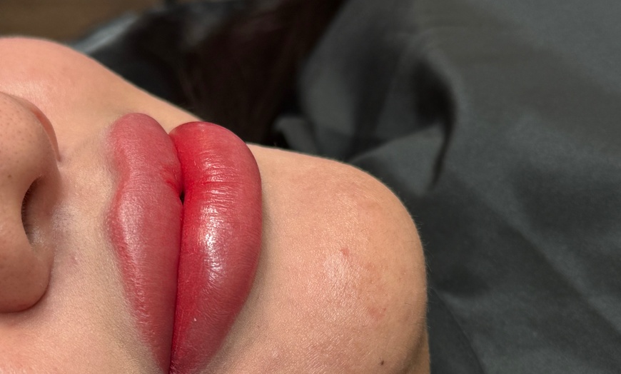Image 1: Get a Gorgeous Lip Blush Session with Optional Touch-Up!